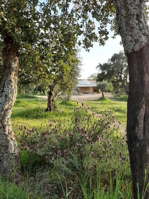 Villa Quinta Terramadome: Dome Incomum & Responsavel à Penamacor Extérieur photo