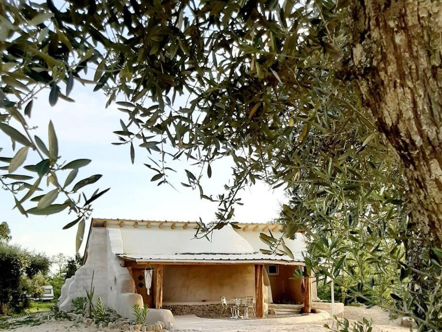 Villa Quinta Terramadome: Dome Incomum & Responsavel à Penamacor Extérieur photo